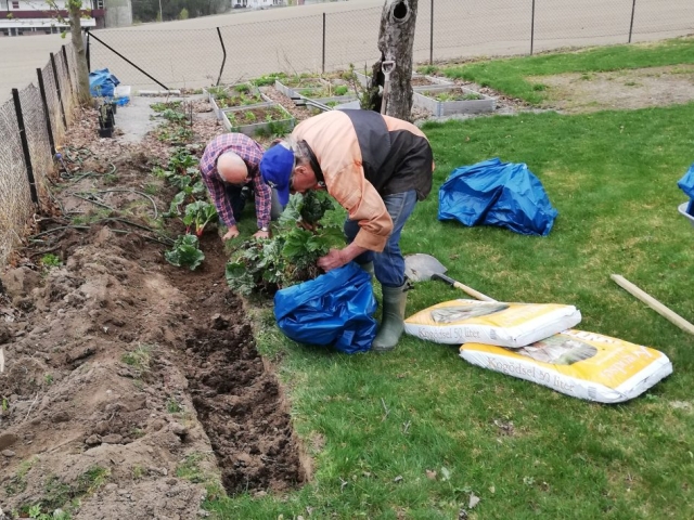 Dugnad april 2019 Dugnad april 2019